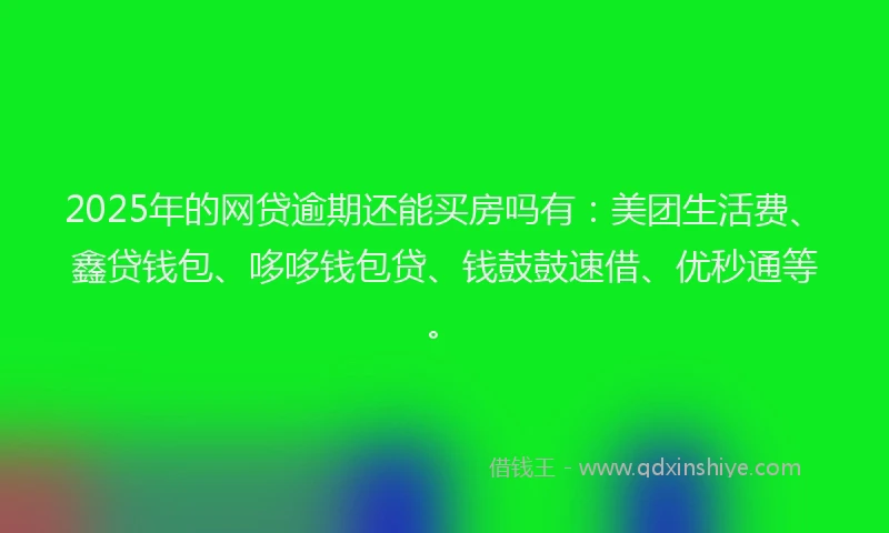 2025年的网贷逾期还能买房吗有：美团生活费、鑫贷钱包、哆哆钱包贷、钱鼓鼓速借、优秒通等。