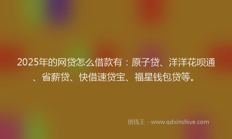 2025年的网贷怎么借款有：原子贷、洋洋花呗通、省薪贷、快借速贷宝、福星钱包贷等。