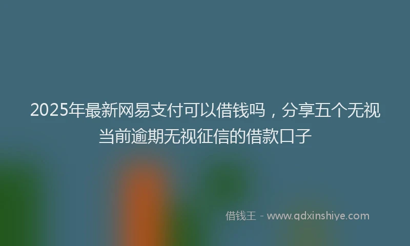 2025年最新网易支付可以借钱吗，分享五个无视当前逾期无视征信的借款口子
