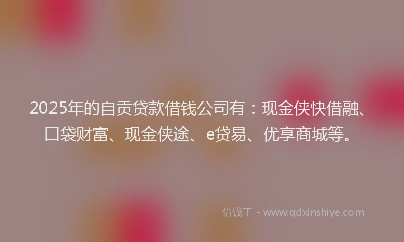 2025年的自贡贷款借钱公司有：现金侠快借融、口袋财富、现金侠途、e贷易、优享商城等。