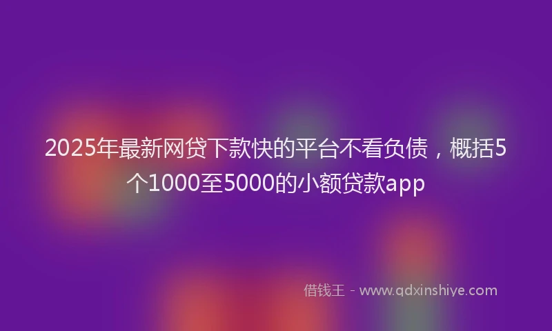 2025年最新网贷下款快的平台不看负债，概括5个1000至5000的小额贷款app