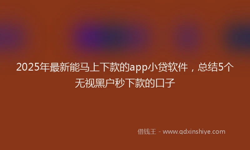 2025年最新能马上下款的app小贷软件，总结5个无视黑户秒下款的口子
