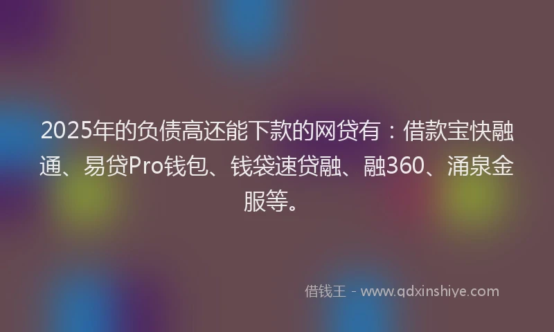 2025年的负债高还能下款的网贷有：借款宝快融通、易贷Pro钱包、钱袋速贷融、融360、涌泉金服等。