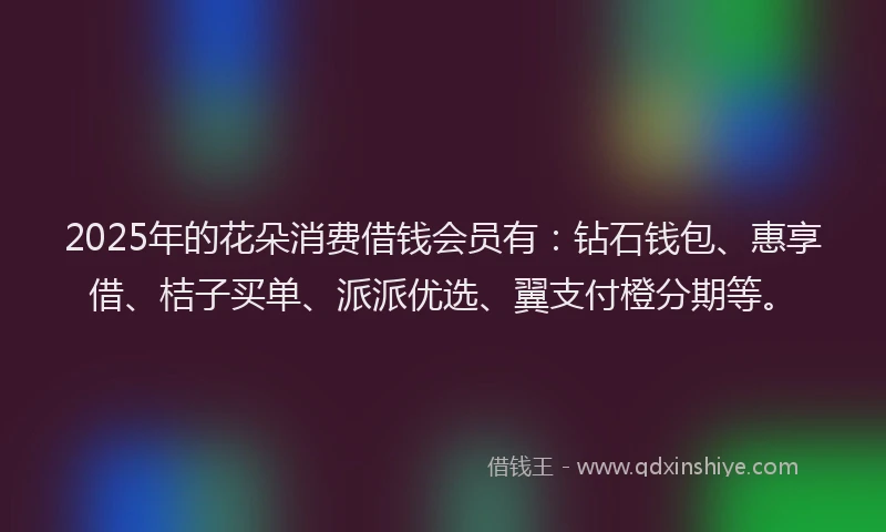 2025年的花朵消费借钱会员有：钻石钱包、惠享借、桔子买单、派派优选、翼支付橙分期等。