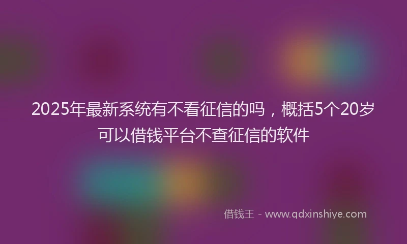 2025年最新系统有不看征信的吗，概括5个20岁可以借钱平台不查征信的软件