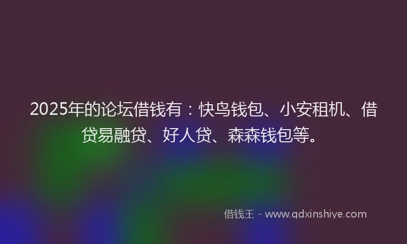 2025年的论坛借钱有：快鸟钱包、小安租机、借贷易融贷、好人贷、森森钱包等。