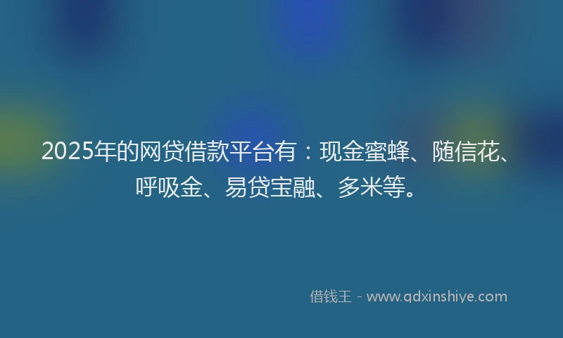 2025年的网贷借款平台有：现金蜜蜂、随信花、呼吸金、易贷宝融、多米等。