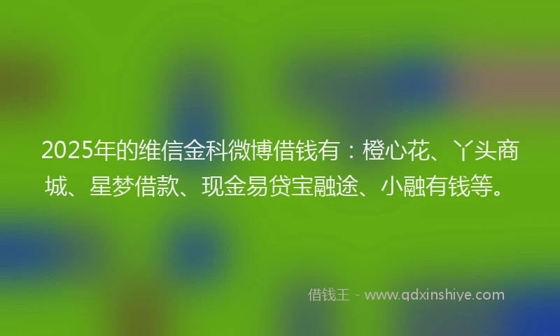 2025年的维信金科微博借钱有：橙心花、丫头商城、星梦借款、现金易贷宝融途、小融有钱等。