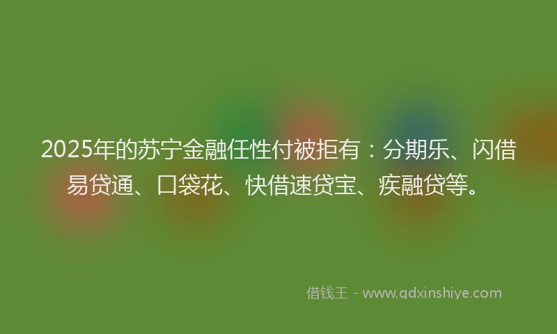 2025年的苏宁金融任性付被拒有：分期乐、闪借易贷通、口袋花、快借速贷宝、疾融贷等。