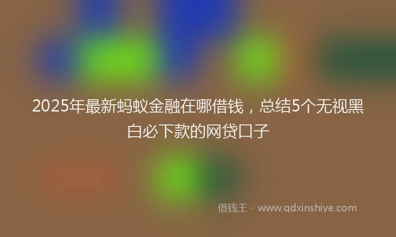 2025年最新蚂蚁金融在哪借钱，总结5个无视黑白必下款的网贷口子