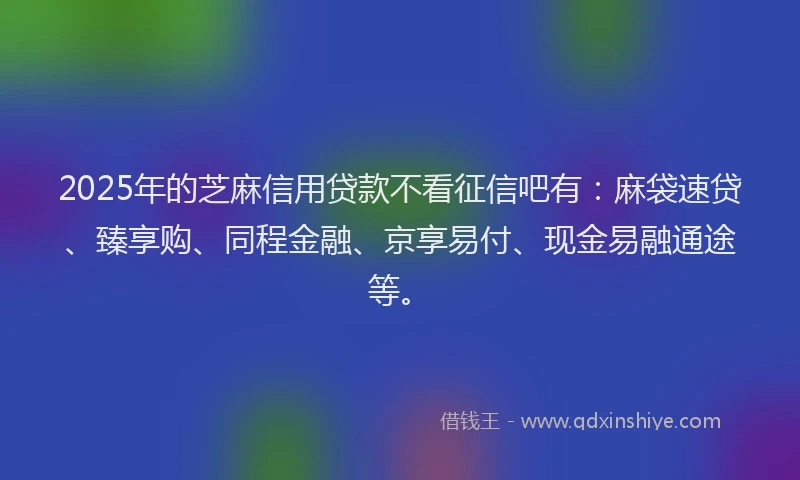 2025年的芝麻信用贷款不看征信吧有：麻袋速贷、臻享购、同程金融、京享易付、现金易融通途等。