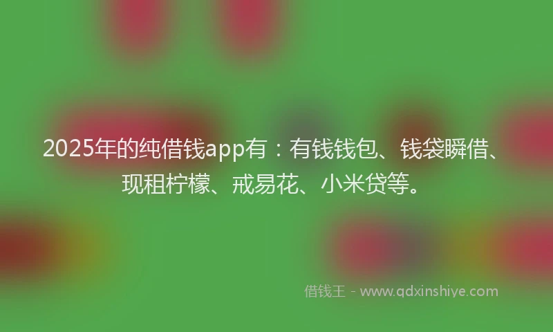 2025年的纯借钱app有：有钱钱包、钱袋瞬借、现租柠檬、戒易花、小米贷等。