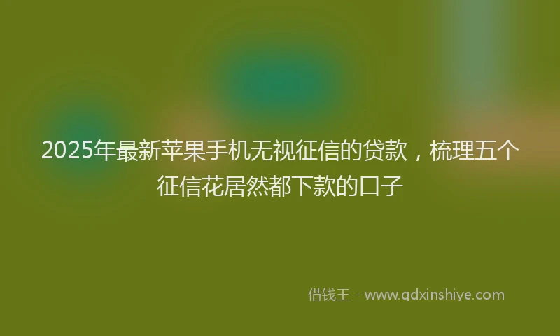 2025年最新苹果手机无视征信的贷款，梳理五个征信花居然都下款的口子