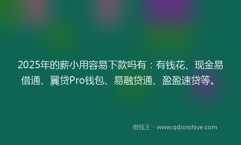 2025年的薪小用容易下款吗有：有钱花、现金易借通、翼贷Pro钱包、易融贷通、盈盈速贷等。