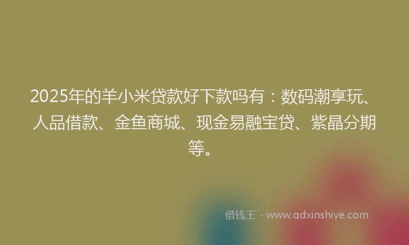 2025年的羊小米贷款好下款吗有：数码潮享玩、人品借款、金鱼商城、现金易融宝贷、紫晶分期等。
