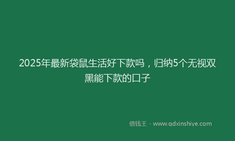2025年最新袋鼠生活好下款吗，归纳5个无视双黑能下款的口子