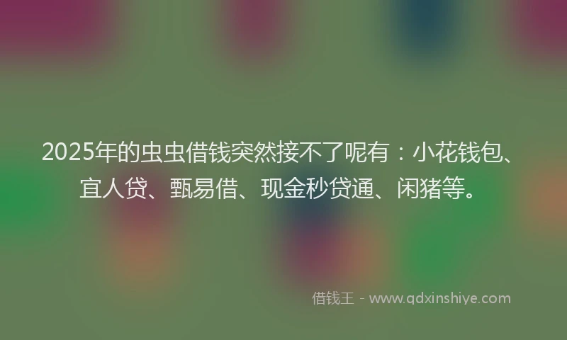 2025年的虫虫借钱突然接不了呢有：小花钱包、宜人贷、甄易借、现金秒贷通、闲猪等。
