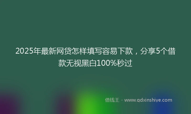2025年最新网贷怎样填写容易下款，分享5个借款无视黑白100%秒过