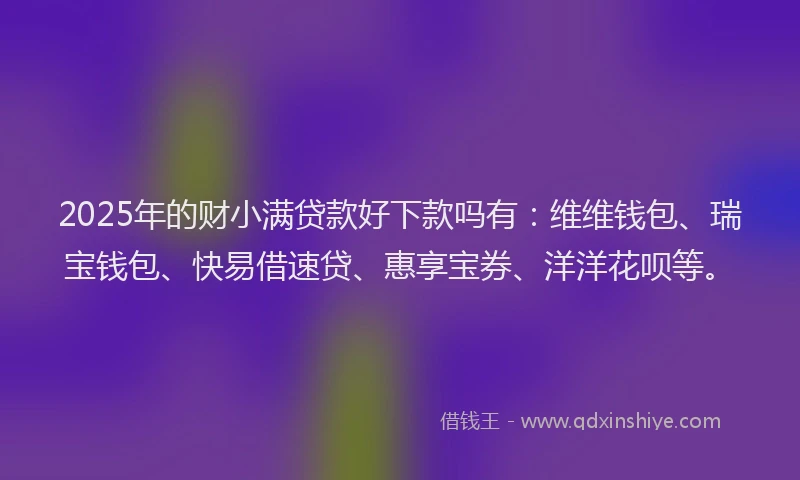 2025年的财小满贷款好下款吗有：维维钱包、瑞宝钱包、快易借速贷、惠享宝券、洋洋花呗等。