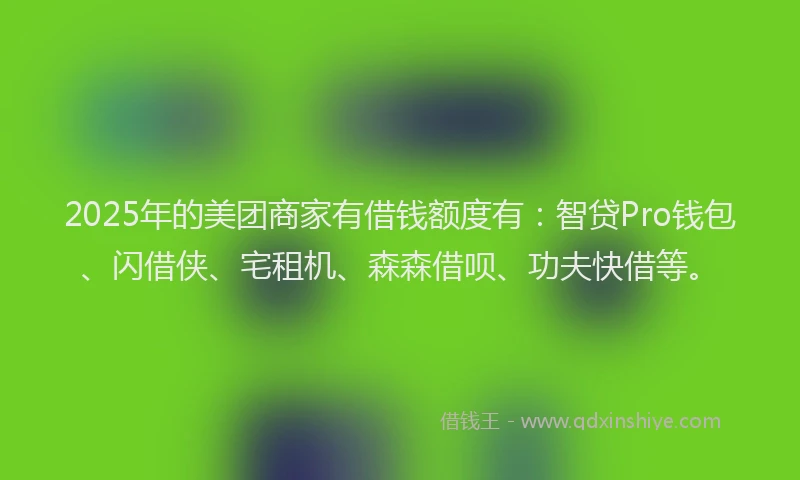2025年的美团商家有借钱额度有：智贷Pro钱包、闪借侠、宅租机、森森借呗、功夫快借等。