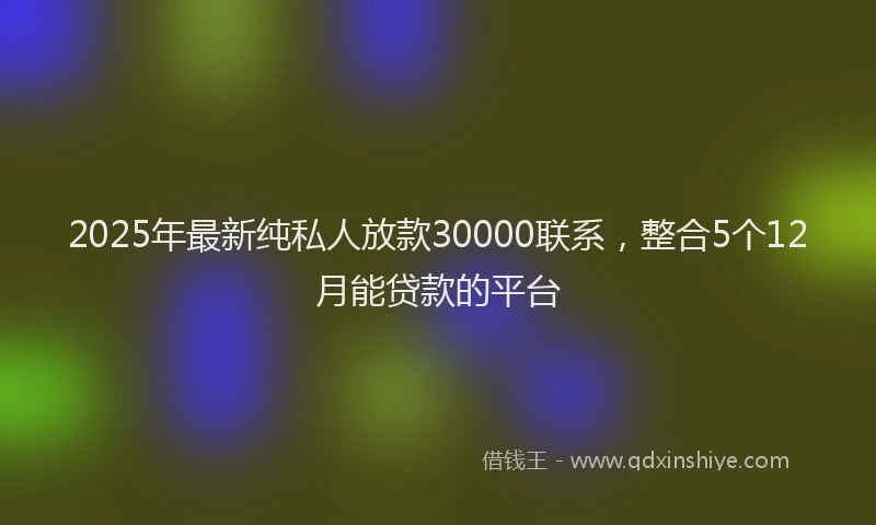 2025年最新纯私人放款30000联系，整合5个12月能贷款的平台