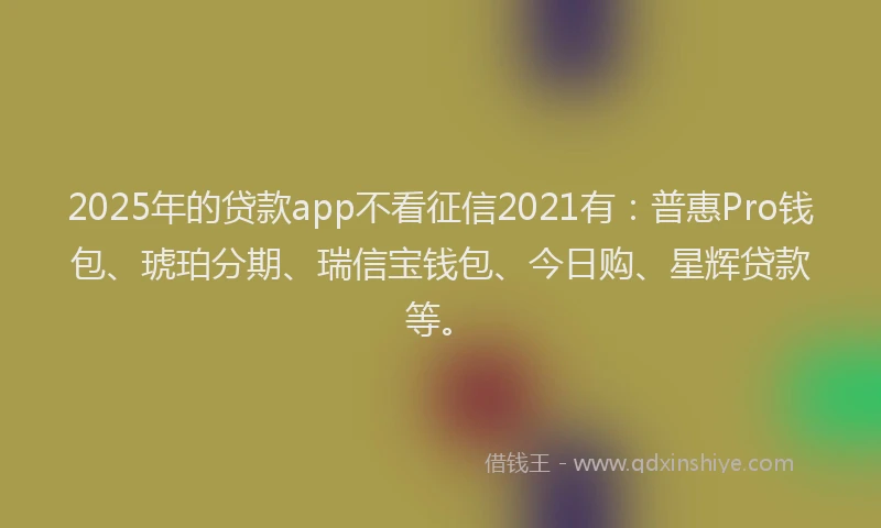 2025年的贷款app不看征信2021有：普惠Pro钱包、琥珀分期、瑞信宝钱包、今日购、星辉贷款等。