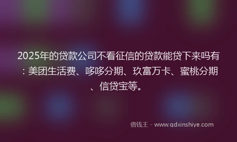 2025年的贷款公司不看征信的贷款能贷下来吗有：美团生活费、哆哆分期、玖富万卡、蜜桃分期、信贷宝等。