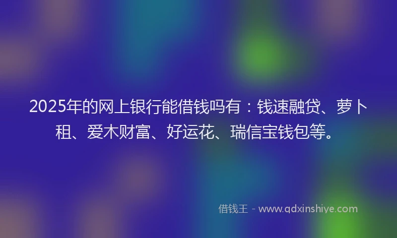 2025年的网上银行能借钱吗有：钱速融贷、萝卜租、爱木财富、好运花、瑞信宝钱包等。