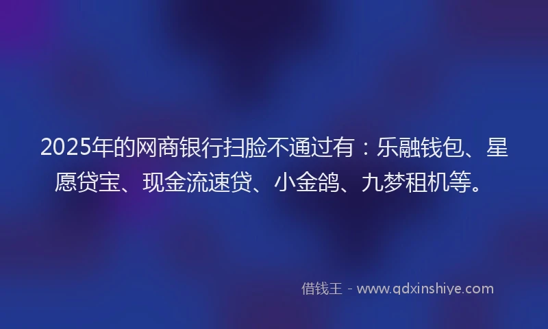 2025年的网商银行扫脸不通过有：乐融钱包、星愿贷宝、现金流速贷、小金鸽、九梦租机等。
