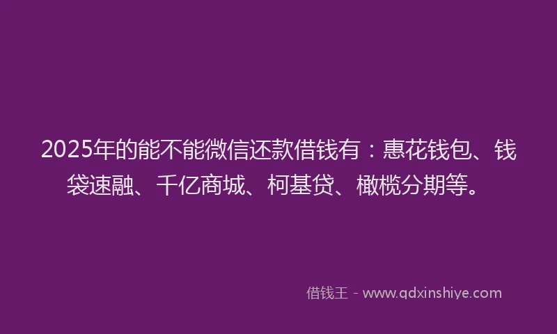 2025年的能不能微信还款借钱有：惠花钱包、钱袋速融、千亿商城、柯基贷、橄榄分期等。