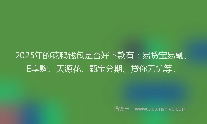 2025年的花鸭钱包是否好下款有：易贷宝易融、E享购、天源花、甄宝分期、贷你无忧等。