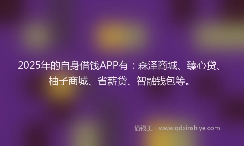 2025年的自身借钱APP有：森泽商城、臻心贷、柚子商城、省薪贷、智融钱包等。