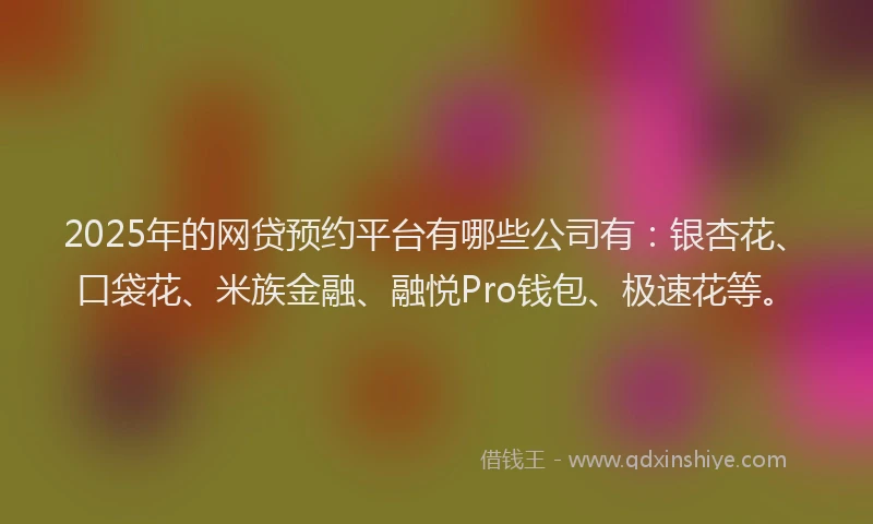 2025年的网贷预约平台有哪些公司有：银杏花、口袋花、米族金融、融悦Pro钱包、极速花等。