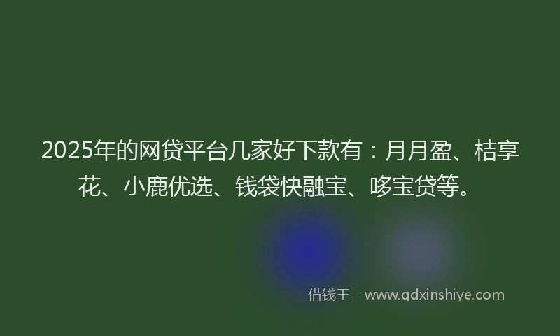 2025年的网贷平台几家好下款有：月月盈、桔享花、小鹿优选、钱袋快融宝、哆宝贷等。
