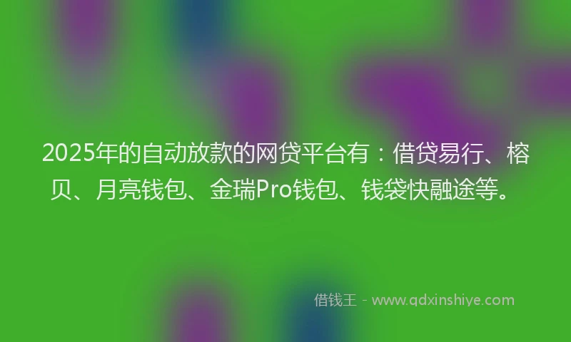 2025年的自动放款的网贷平台有：借贷易行、榕贝、月亮钱包、金瑞Pro钱包、钱袋快融途等。