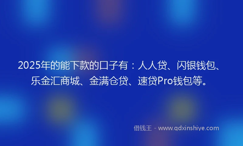 2025年的能下款的口子有：人人贷、闪银钱包、乐金汇商城、金满仓贷、速贷Pro钱包等。