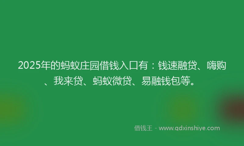 2025年的蚂蚁庄园借钱入口有：钱速融贷、嗨购、我来贷、蚂蚁微贷、易融钱包等。