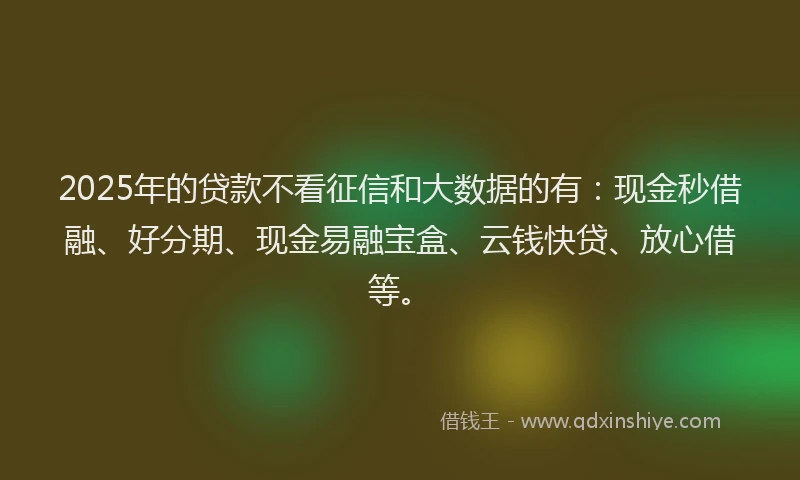 2025年的贷款不看征信和大数据的有：现金秒借融、好分期、现金易融宝盒、云钱快贷、放心借等。