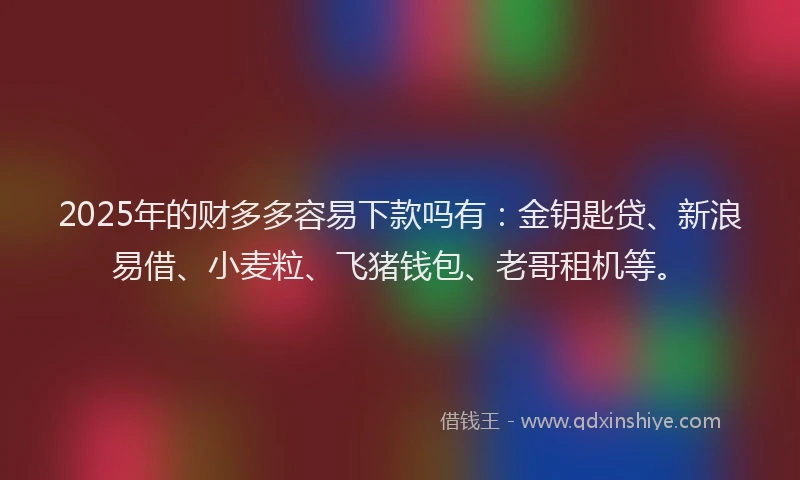 2025年的财多多容易下款吗有：金钥匙贷、新浪易借、小麦粒、飞猪钱包、老哥租机等。
