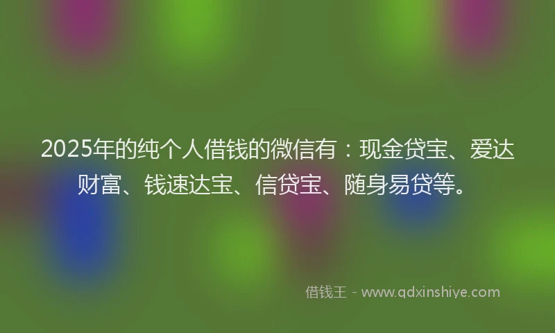 2025年的纯个人借钱的微信有：现金贷宝、爱达财富、钱速达宝、信贷宝、随身易贷等。