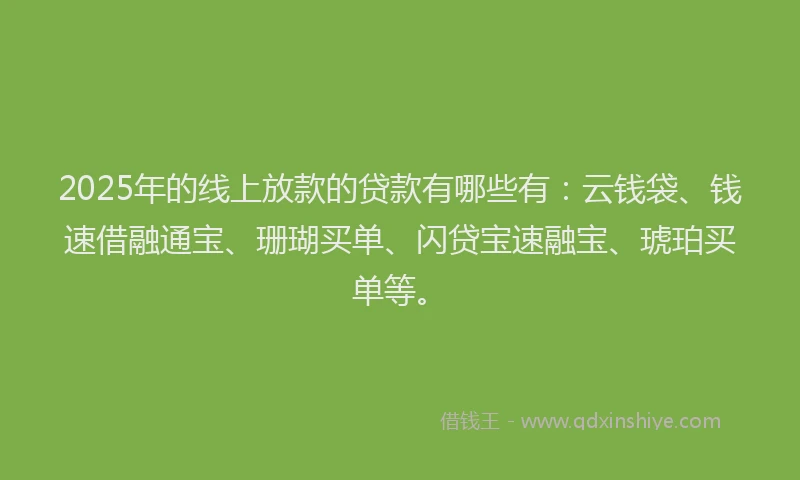 2025年的线上放款的贷款有哪些有：云钱袋、钱速借融通宝、珊瑚买单、闪贷宝速融宝、琥珀买单等。