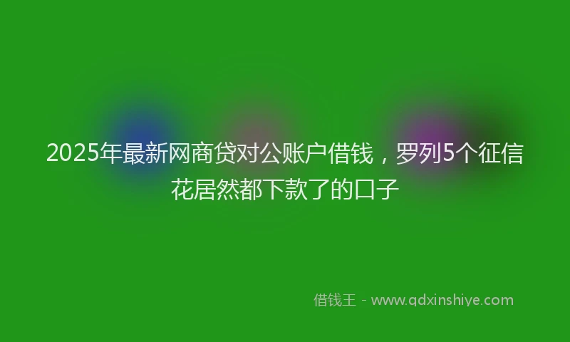 2025年最新网商贷对公账户借钱，罗列5个征信花居然都下款了的口子