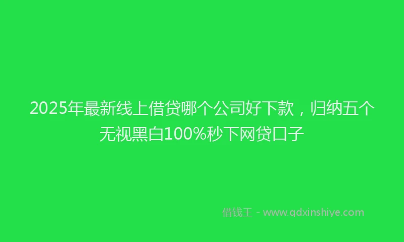 2025年最新线上借贷哪个公司好下款，归纳五个无视黑白100%秒下网贷口子
