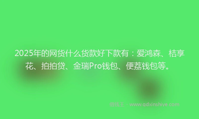 2025年的网货什么货款好下款有：爱鸿森、桔享花、拍拍贷、金瑞Pro钱包、便荔钱包等。