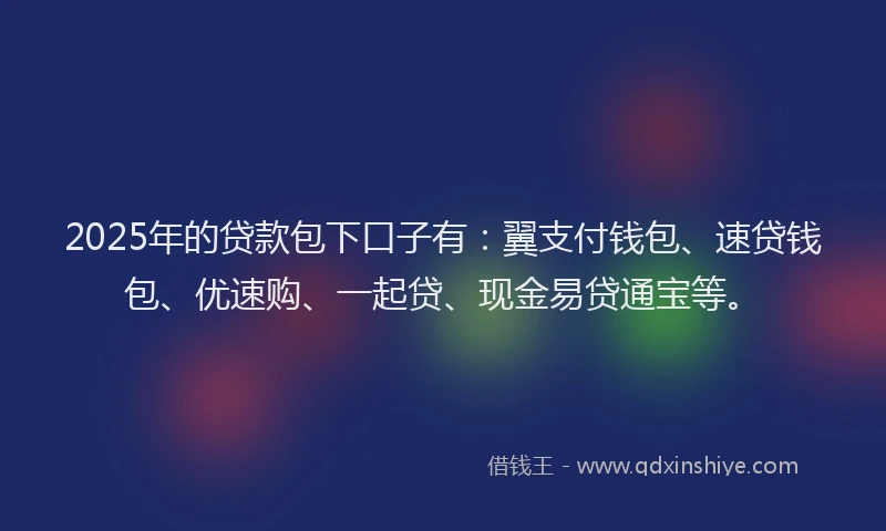 2025年的贷款包下口子有：翼支付钱包、速贷钱包、优速购、一起贷、现金易贷通宝等。
