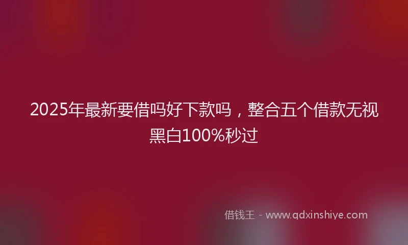 2025年最新要借吗好下款吗，整合五个借款无视黑白100%秒过