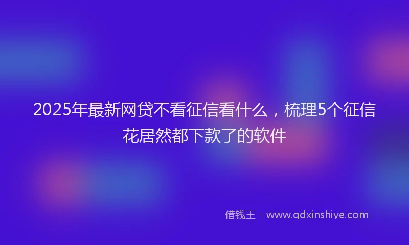 2025年最新网贷不看征信看什么，梳理5个征信花居然都下款了的软件