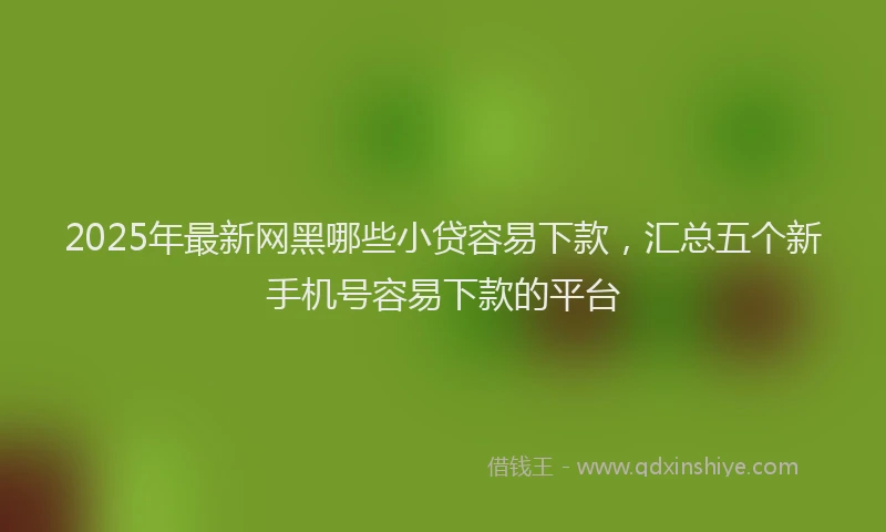 2025年最新网黑哪些小贷容易下款，汇总五个新手机号容易下款的平台