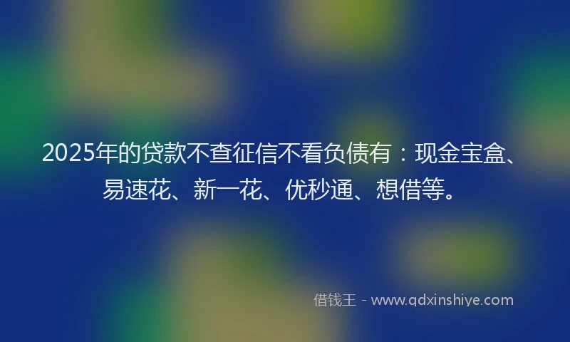 2025年的贷款不查征信不看负债有：现金宝盒、易速花、新一花、优秒通、想借等。