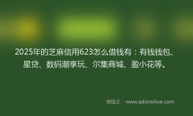 2025年的芝麻信用623怎么借钱有:有钱钱包、星贷、数码潮享玩、尔集商城、盈小花等。